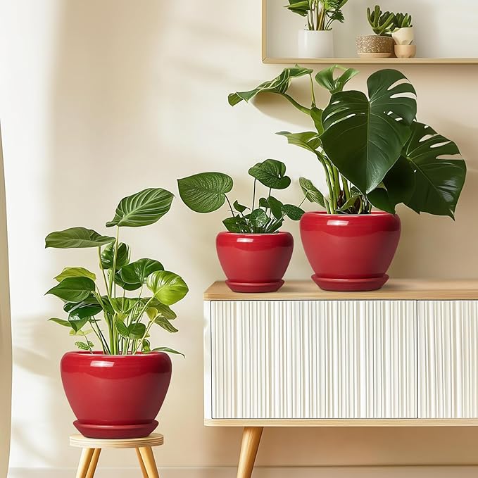 Ceramicfor Ceramic Planter for Indoor Plants 8 Inch - Ceramic Plant Pot with Drainage Hole and Saucer, Glaze Round Decorative Modern Flower Pot, Housewarming Gift, Home Room Office Decor, Red