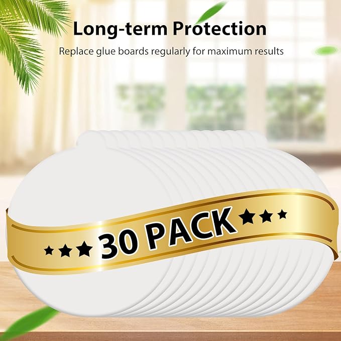 Flying Insect Traps Indoor for Fruit Flies, Moths, Fungus Gnats, Mosquitos Refill Pack of 30