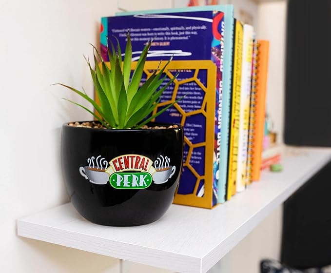 Silver Buffalo Friends Central Perk Logo Decorative Artificial Faux Greenery Plant in Ceramic