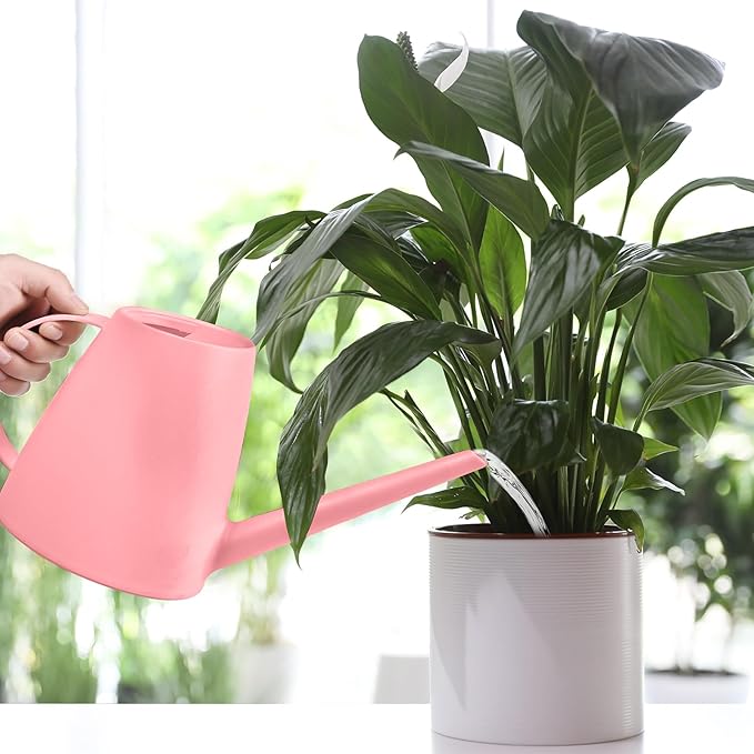Plastic Watering Can - for Indoor and Outdoor House Plant Garden - with Long Spout - 1/2 Gallon - Pink