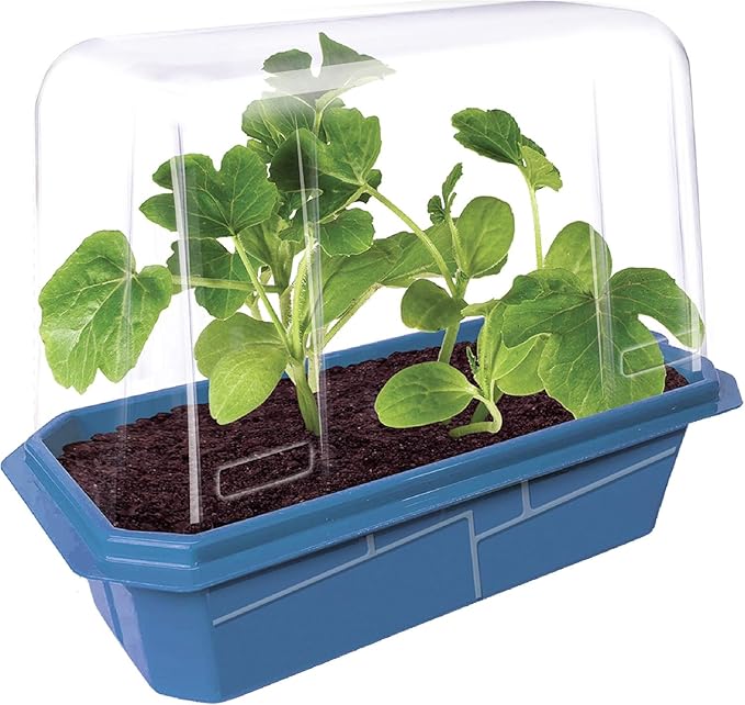 Unique Gardener Melon Plant Seeds Kit, Grow Sweet Mini Melons Indoors in Small Spaces, Easy Indoor Plant Seeds with Compact Vines & Delicious Fruit, Garden Seeds for Planting Suitable for Beginners
