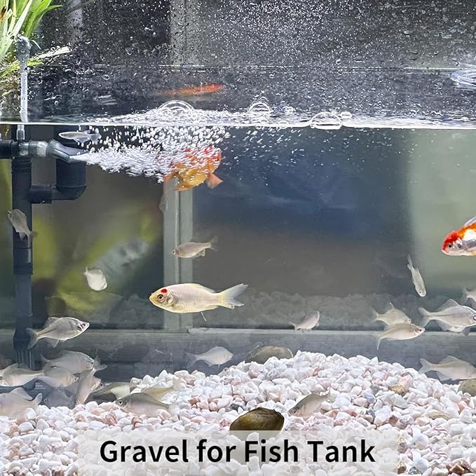 FANTIAN 10LB Natural Succulent Gravel Decorative White Rocks - 3/8'' Small White Pebbles for Plants, Decorative Stones, Succulent Rocks Pebbles for Planter, Aquarium Pea Gravel for Landscaping