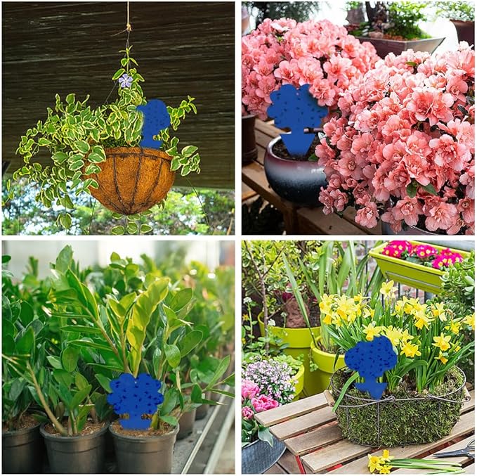 58 Pack Flying Insect Traps for Plants – Blue Sticky Traps for Fungus Gnats, Flies & Flying Bugs, Indoor Outdoor Flying Bug Catcher for Pots, Garden & Kitchen, Non-Toxic, Odorless, Kid & Pet Safe