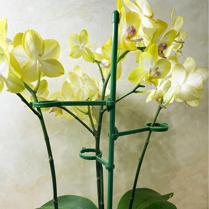 20 Set Plant Stakes 12 inch Extendable Plant Support Stakes with Adjustable Rings, Flowers Stems Plants Sticks for Indoor Outdoor Plants Stabilizer Support Sticks for Orchid Rose Peony Tomato