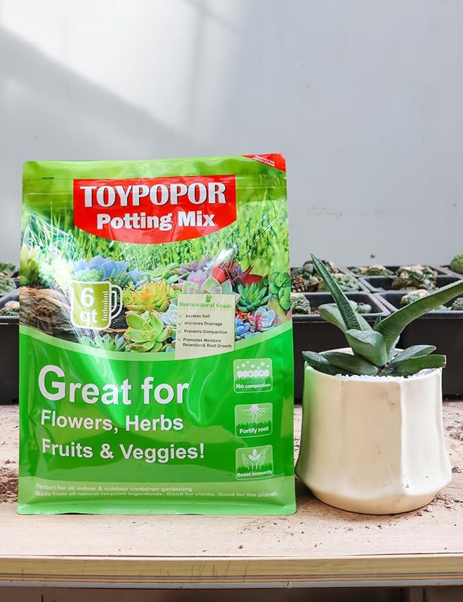 TOYPOPOR Succulent Soil, Cactus Potting Mix 1.25 Pounds/1 Quart, High Drainage, Pre-Mixed Ready to Use for All Succulent Varieties, Indoor Plants, Bonsai, Terrarium, Houseplant, 30% Particles 70% Soil