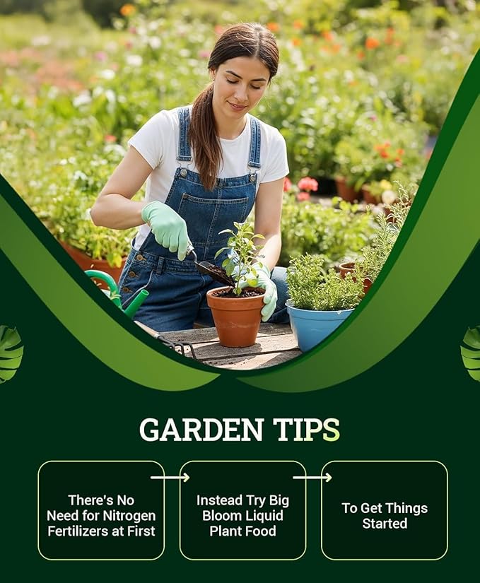 FoxFarm Ocean Forest Potting Soil for Container Gardens - Light, Aerated Texture with Fish Meal, Crab Meal, Earthworm Castings - Houseplant Potting Mix for Seedlings & Plant Starts - 12 Qt