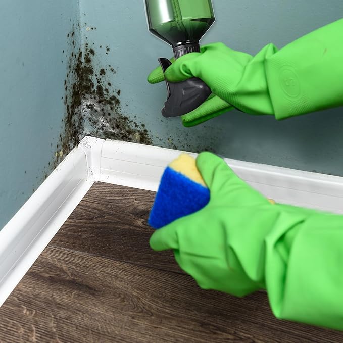 Baderke 2 Pcs Spray Bottle, 16 oz Plastic Spray Bottles for Cleaning 360° Upside Down Sprayer Bottles for Cleaning Solutions, Durable Nozzle W/fine Mist and Stream Setting(Green)