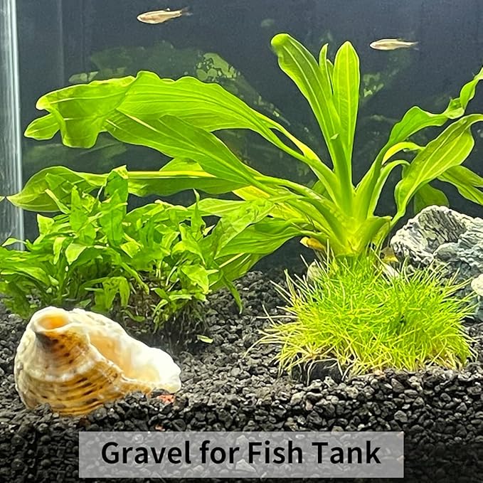 FANTIAN 5lbs Black Pea Gravel, 3/8 Inch Decorative Pebbles Succulent Rocks, Black River Rocks Stones for Planters Vase Landscaping and Outdoor Garden Rock