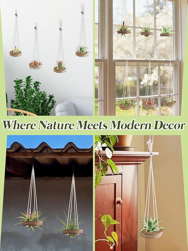 6 Pcs Hanging Wooden Air Plant Holder - 3" Round Airplants Live Hanger with Ropes, Rustic Tillandsia Succulent Display Container Stand for Home Office Decor Housewarming Gift (Excluding Plants)