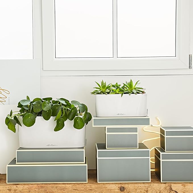 Delta 10 Cream White High Gloss, Self-Watering Planter Indoor, H5.1 L11.8 W4.3 in