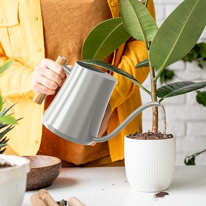 Watering Can Indoor Plants 35oz Elephant Gray Water Can Indoor Metal Small Water Can Pot with Long Spout for House Bonsai Plants Garden Flower Decorative
