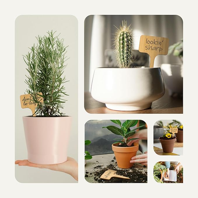 Bamboo Plant Labels & Garden Tags | 4" Short T-Type Wooden Garden Markers for Labeling Herbs, Seedlings, Vegetables, Cheeses, Appetizers, Desserts | 50 pcs