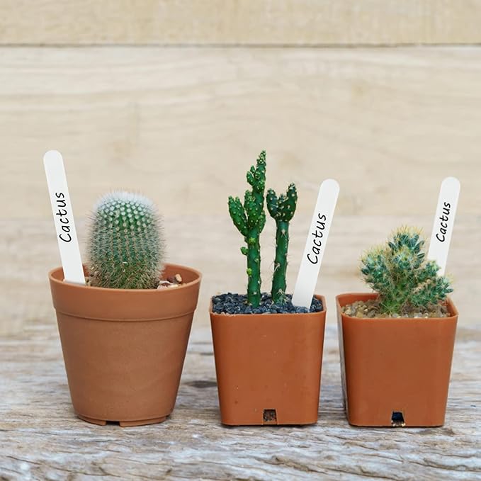 KINGLAKE 100 Pcs 4.7 Inch Thick Plastic Plant Labels - Garden Stakes with Waterproof Plant Identification Tags for Seedling, Vegetable White