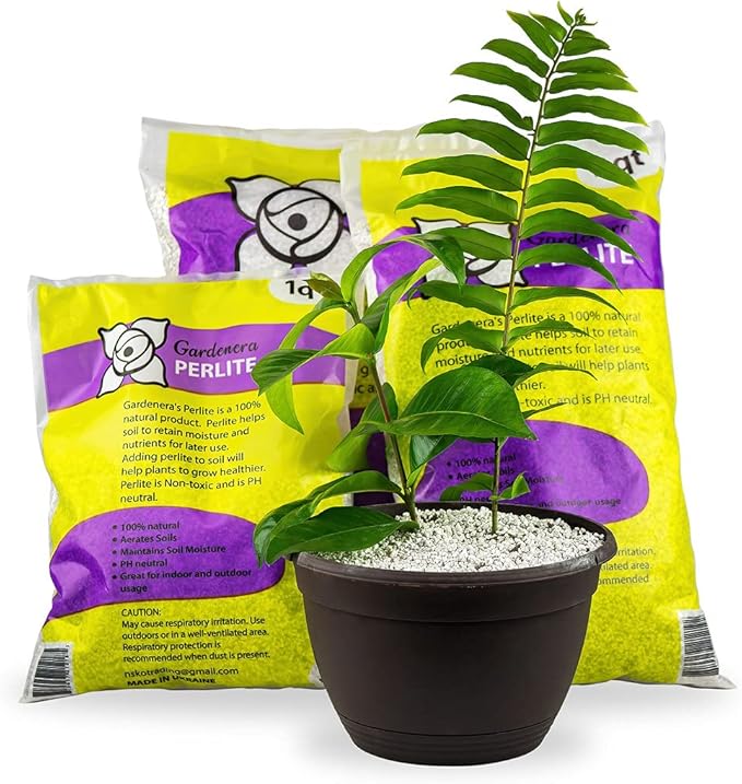 GARDENERA Premium Organic Perlite - Medium Grade - Horticultural Soil Amendment for Indoor & Outdoor Container Plants for Drainage Management and Enhanced Growth - 3 Quart