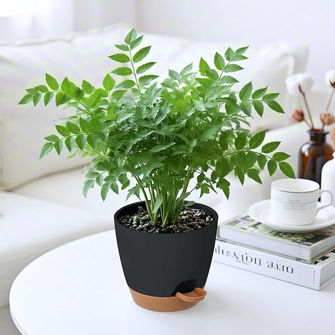 6-Pack Plant Pots with Drainage 5 Inch, Self Watering Pots for Indoor Plants, Planters for Indoor Outdoor Plants, Plastic Flower Pot, Planter for Indoor Outdoor (Black)