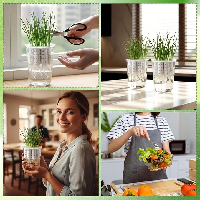 2 Pack Green Onion Planter Scallion Grower Seed Sprouting Kit Compatible with Regular Mouth Mason Jar for Windowsill Garden, Hydroponics, and Propagation Hydroponics Enthusiasts (White)