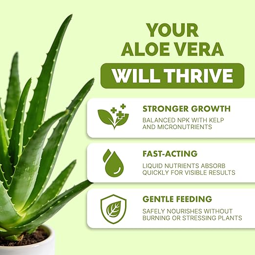 Aloe Vera Fertilizer for All Aloe and Succulent Plants, Liquid Plant Food, 32 oz (1 Quart)