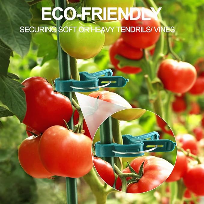 Yinghezu 30 Pcs Large 1-3/4 inch Plant Support Clips,Flower and Vine,Garden Tomato Plant Support Clips for Supporting Stems,Vines Grow Upright Climbing,Tool for Straightening,Tomato Cage,Trellis.