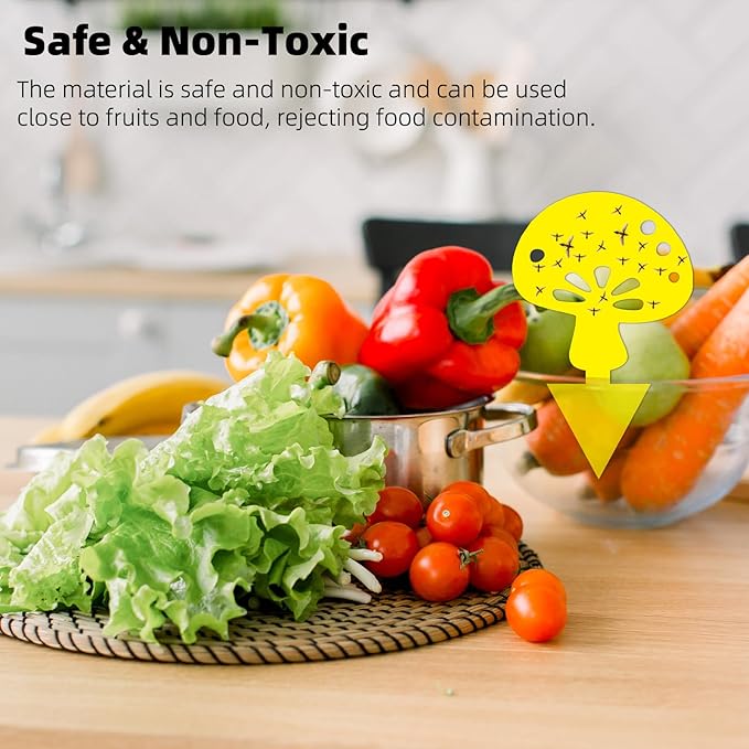36PCS Fruit Fly Sticky Traps Fungus Gnat Traps Insect Trap for Plants Kitchen Indoor Outdoor White Flies Mosquitos Fungus Gnats Flying Insects Houseplant Gifts (Mushroom Shape)