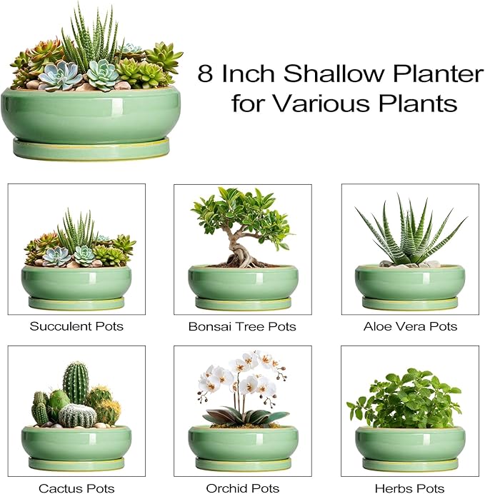 Succulent Planters - 8 Inch Ceramic Bonsai Pots with Drainage Hole and Plant Tray, Round Planter for Indoor Outdoor Plants, Shallow Planter Bowl, Room Decor, Housewarming Gifts, Light Green