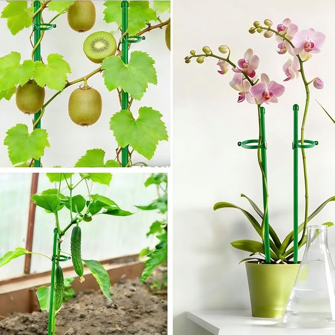 10PCS Plant Stakes for Indoor Plants 15.7in Plant Support Stakes & Moss Pole Kit Orchid Stakes and Clips Monstera Stakes, Tall Plant Sticks, and Fixing Pins