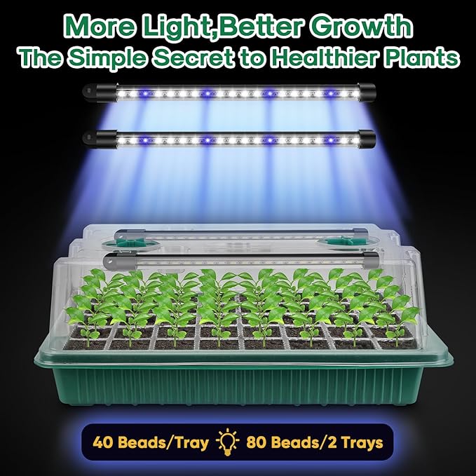 BlumWay Seed Starter Tray with Grow Light,2 Pack 80 Cells Seedling Tray Kit with Humidity Dome/Indoor Plant Starter Kit, Adjustable Brightness Plant Germination Trays-Green