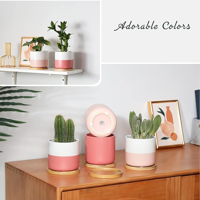 TAMAYKIM 4 Inch Ceramic Plant Pots with Drainage Holes, Small Contrast Style Flower Planter Pot with Tray for Indoor Plants, Succulent, Snake Plants, Cactus & Herbs, Set of 4