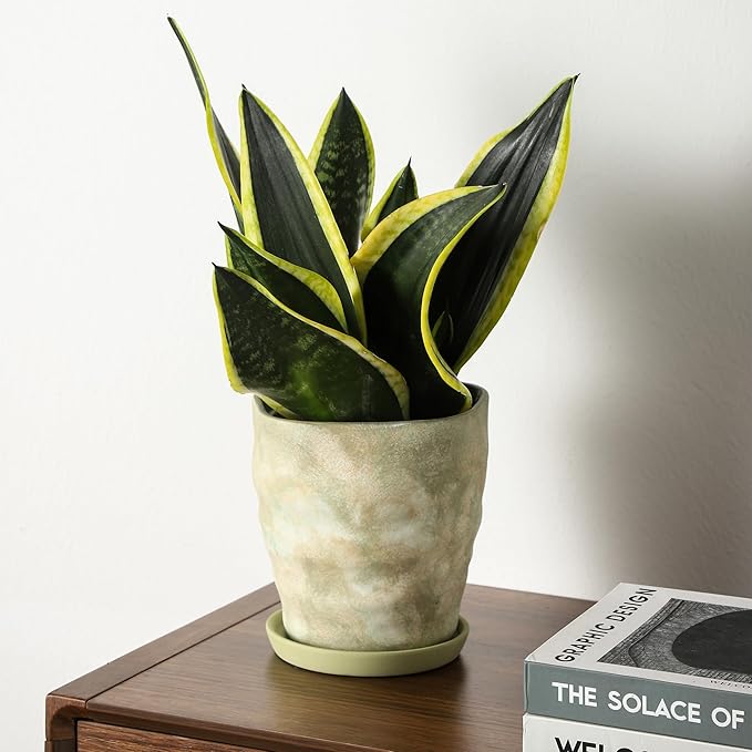 Modern Irregular Ceramic Planter Set of 2-4+6 Inch Unique Reactive Glaze Flower Pots with Drainage Holes & Saucers - Indoor Outdoor Decorative Succulent Orchid Pots, Light Green