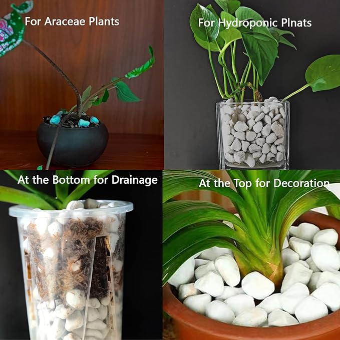 Natural Organic 1-2CM Chunky Perlite 5QT for Plants Horticultural Coarse Pearlite Bulk Potting Mix Garden Soil Amendment for Enhanced Drainage and Ventilation for Indoor Outdoor Plants