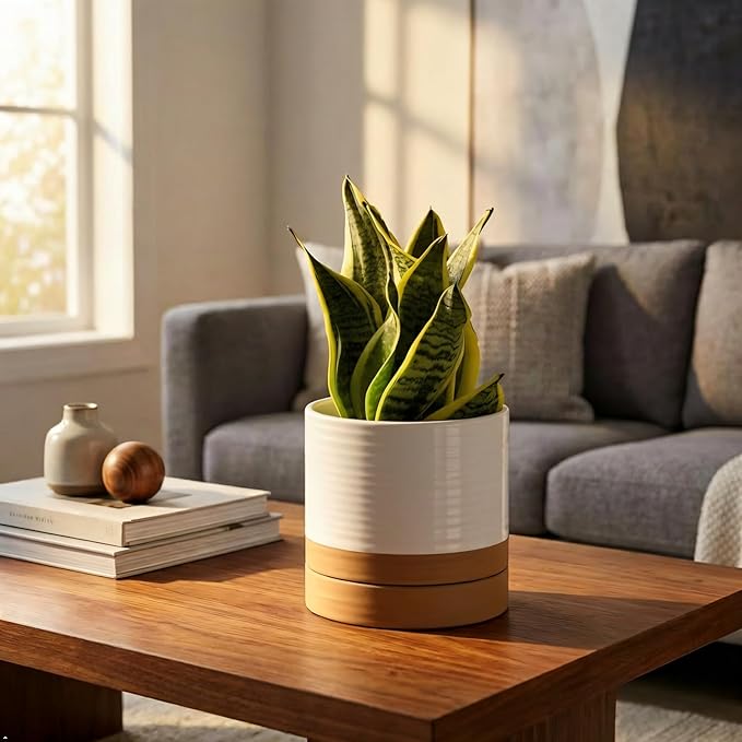 HASENSE 6 Inch Indoor Plant Pot, Ceramic Flower Planter with Drainage Hole and Saucer, Modern Pots for Plant with Two-Tone Design, Perfect for Wedding Birthday Gift, White-Brown