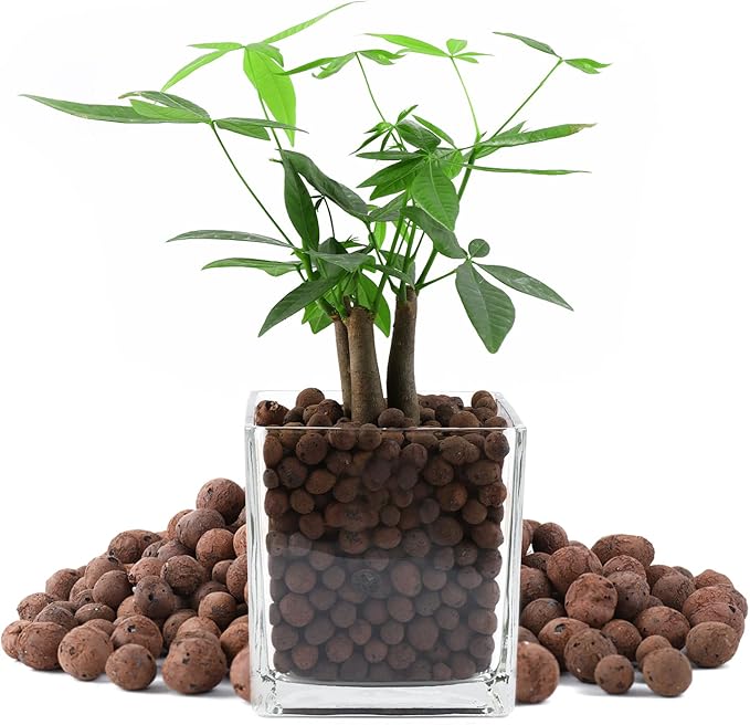 Natural Leca Clay Pebbles, 17LBS 8mm-18mm Expanded Organic Balls Plants Grow Media Gardening Soil for Hydroponics, Drainage, Decoration, Aquaponics
