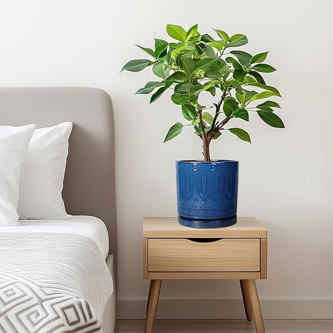 Eightpot 6 Inch Plant Pot - Ceramic Planter for Outdoor Plants Indoor Plant Pot with Drainage Holes and Saucer Succulent Pot Modern Round Flower Pot for House Room Decor Blue