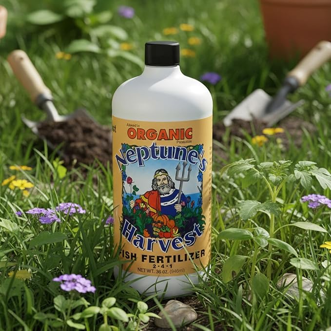 Neptune's Harvest Fish Fertilizer (2-4-1) - Organic Liquid Plant Fertilizer - Fish Hydrolysate for Vegetables, Flowers, Fruit, Trees, Grass - Indoor and Outdoor Plant Food (Quart)