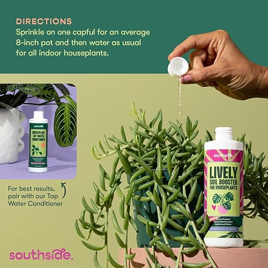 Southside Plants Lively Soil Conditioner for Houseplants – Repot Less, Revive Tired Potting Soil, Improve Drainage & Nutrient Uptake – Beneficial Bacillus Indoor Plant Booster