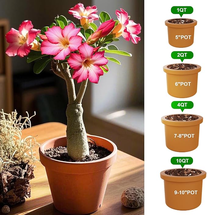 Doter Organic Desert Rose Potting Soil Mix for Healthy Growth 10qt- 100% Natural Potting Mix - Specially Formulated Nutrient-Rich Plant Soil for Desert Rose Plant