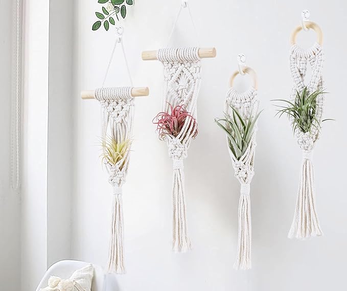 4 Pack Air Plants Holders, Wall Planters for Indoor Plants | Macrame Plant Hanger, Air Plant Hanger for Air Fern, Tillandsias (for Air Plant, NO Plant Included)