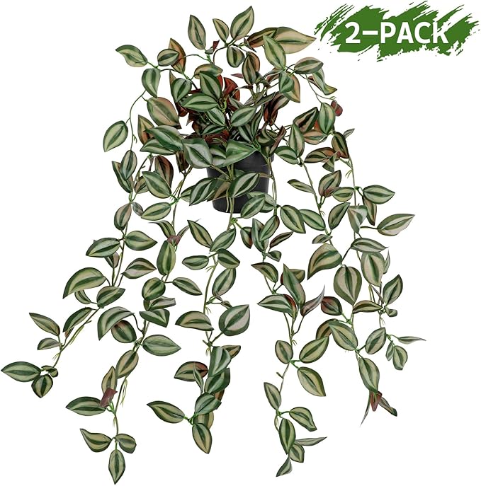 2 Pack Fake Hanging Plants for Shelf in Back Pot, Small Artificial Hanging Ivy Vine Plants Indoor Fake Potted Greenery Plant for Home Room Wall Tabletop Mantel Decor, Mimi Faux Peperomia Plant Set