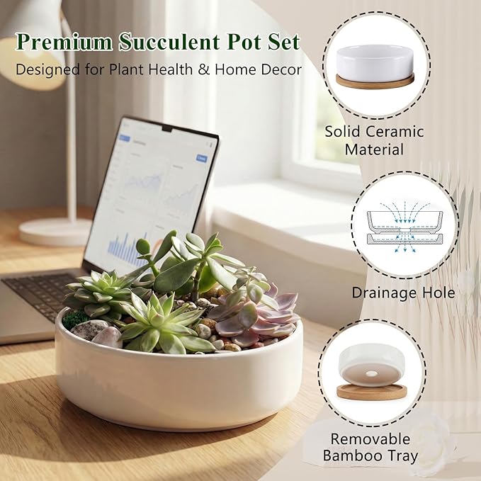 ZOUTOG Succulent Pots,6 Inch Succulent Planters with Drainage and Tray,White Ceramic Planters for Indoor Plants,Round Flower Plant Pots,Pack of 2