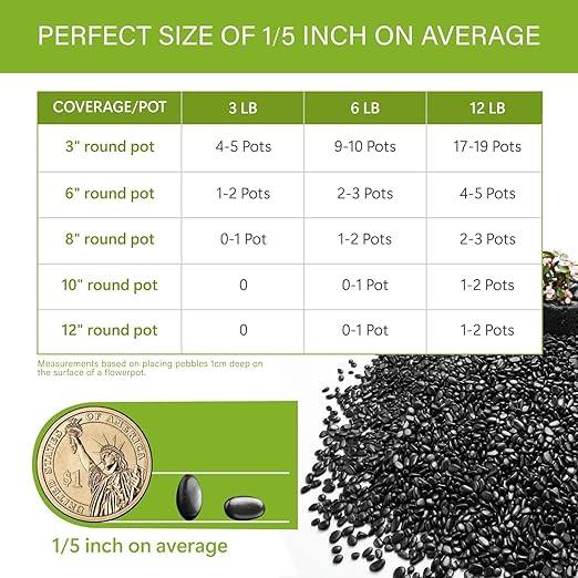 NUPICK 3lb River Rocks for Plants Indoor, 1/5 Inch Black Pebbles for Vases Fillers, Decorative Pea Gravel for Fish Tank, Natural Polished Stones for Succulent, Bonsai, Landscaping, Bird Baths
