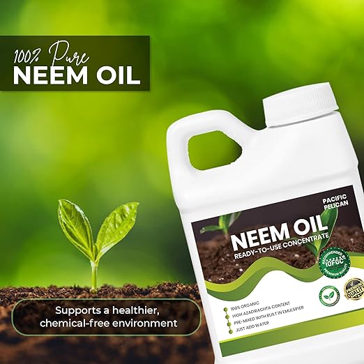 Ready-to-Use Neem Oil Concentrate, Unscented - 100% Organic, High Azadirachtin Content, Just Add Water (16 oz)