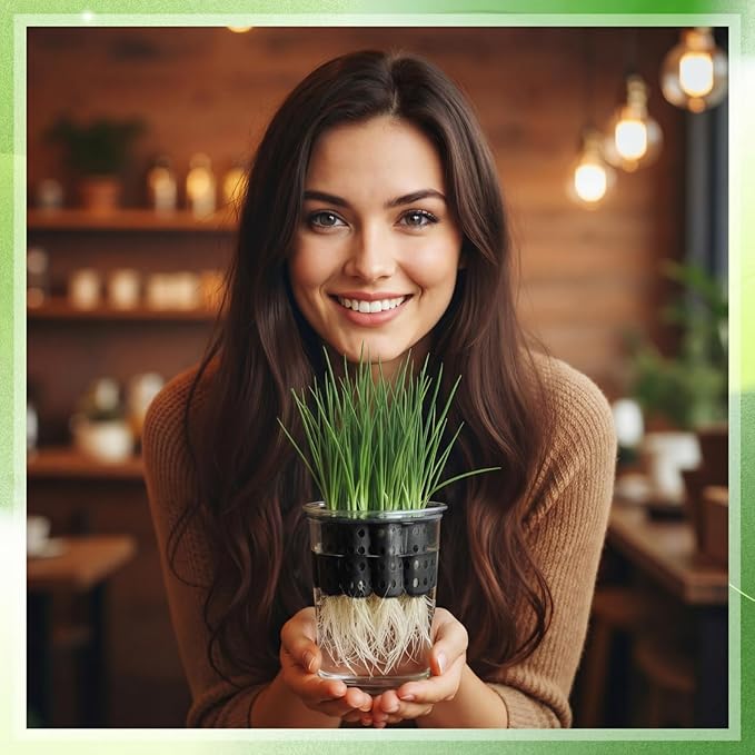 2 Pack Green Onion Planter Scallion Grower Seed Sprouting Kit Compatible with Regular Mouth Mason Jar for Windowsill Garden, Hydroponics, and Propagation Hydroponics Enthusiasts (Black)