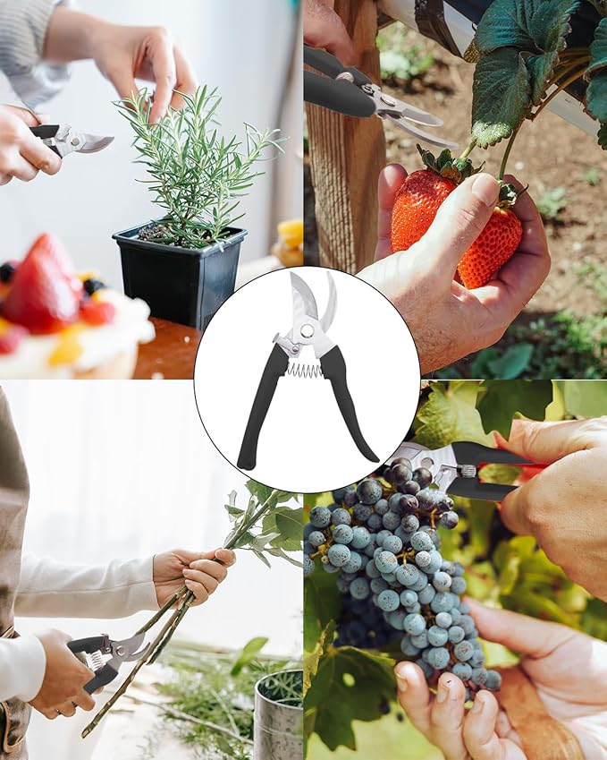 Pruning Shears for Gardening, 4 Pack Garden Scissors for Cutting Fresh Flowers, Floral Clippers for Plants, Fruits (Pink, Green, Blue, Black)