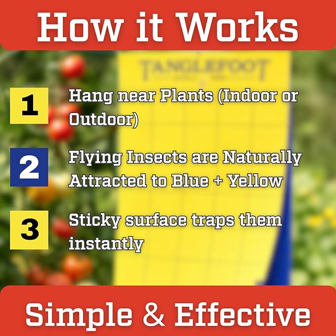 Tanglefoot Sticky Tangle-Trap Cards 20 Pack - 4"x6" – Double-Sided Yellow & Blue Hanging Traps for Garden, Plants & Greenhouse Use