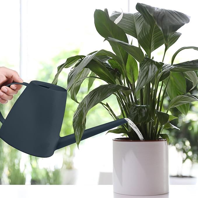Watering Can - for Indoor and Outdoor House Plant Garden - with Long Spout - 1/2 Gallon - Grey
