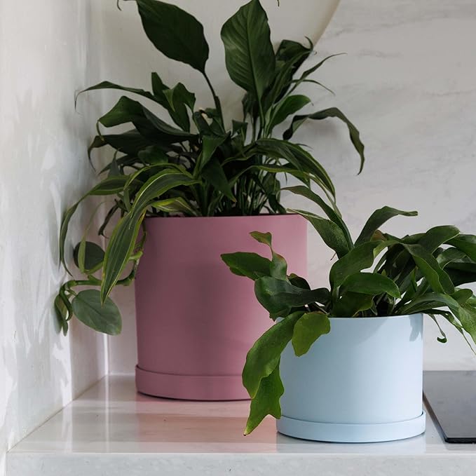 Bloem Mathers 10" Dusty Rose Round Modern Resin Garden Planter Pot with Drainage Holes and Removable Saucer Tray Included