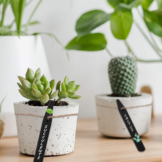 Whaline 200Pcs Thick Plastic Plant Labels Black Waterproof Garden Stake Sign Tags Garden Markers for Outdoor Seedlings Potted Flowers with 2 Marker Pen and A Roll of Twine (6 Inch)