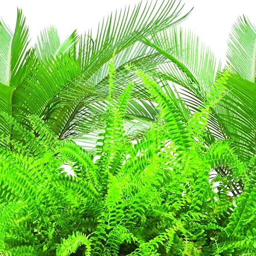Jobe's Fern & Palm Indoor Fertilizer Food Spikes - 2 Packs of 30-Pack 5101