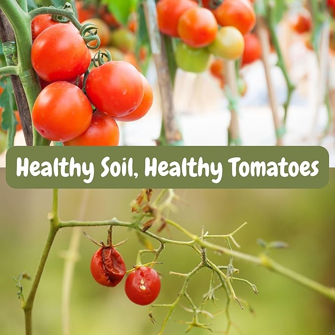 Soil Sunrise All Natural Tomato Starter/Potting Mix (12 Quarts) Perfect Backfill for Outdoor Tomato Plant Holes, Hand Blended with Natural Ingredients Including Worm Castings