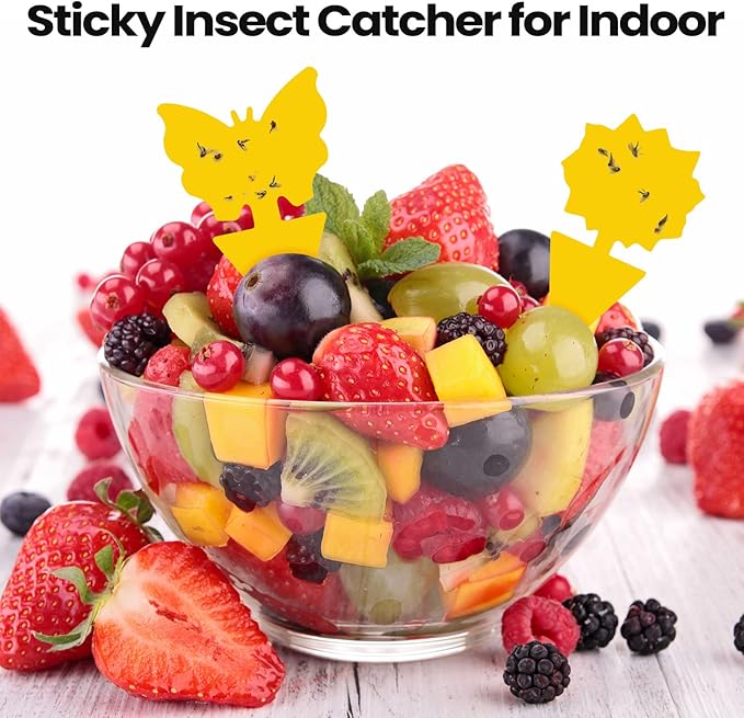 Qualirey 50 Sheets Fruit Fly Sticky Traps for Fruit Fly Gnat Trap for House Indoors Sticky Traps Catcher for Gnats Fungus Gnats Mosquito Catcher Kitchen Outdoor Plants(Classic Style, Yellow Color)