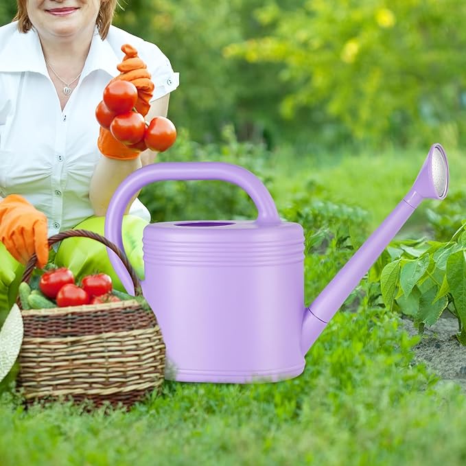 2 Gallon Watering Can for Indoor Plants, Garden Watering Cans for Outdoor Plant House Flower, Modern Plant Watering Can Large Long Spout with Sprinkler Head